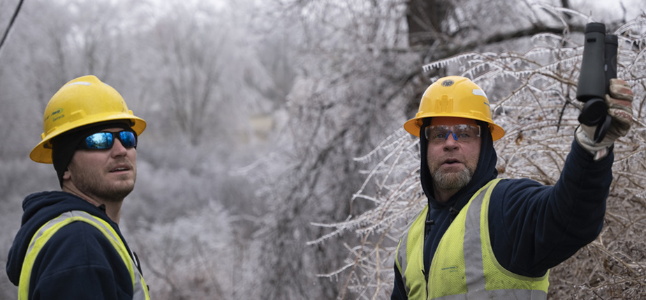 Field workers assessing ice storm damage